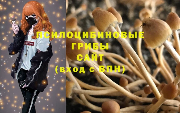 прущая мука Алексин