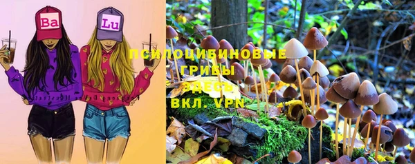 дживик Осташков