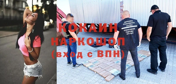 ECSTASY Алзамай