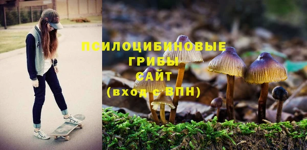 молекула духа Остров