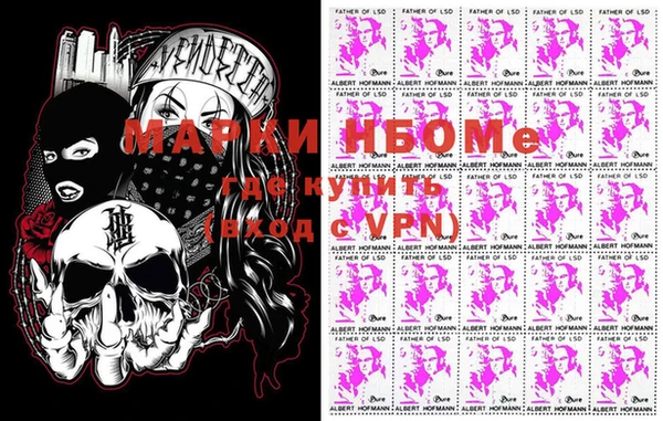 ECSTASY Алзамай